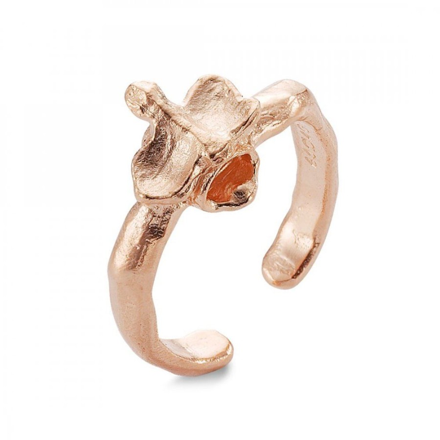 Smycken Bjørg | After Eden Single Spine Ring Rose